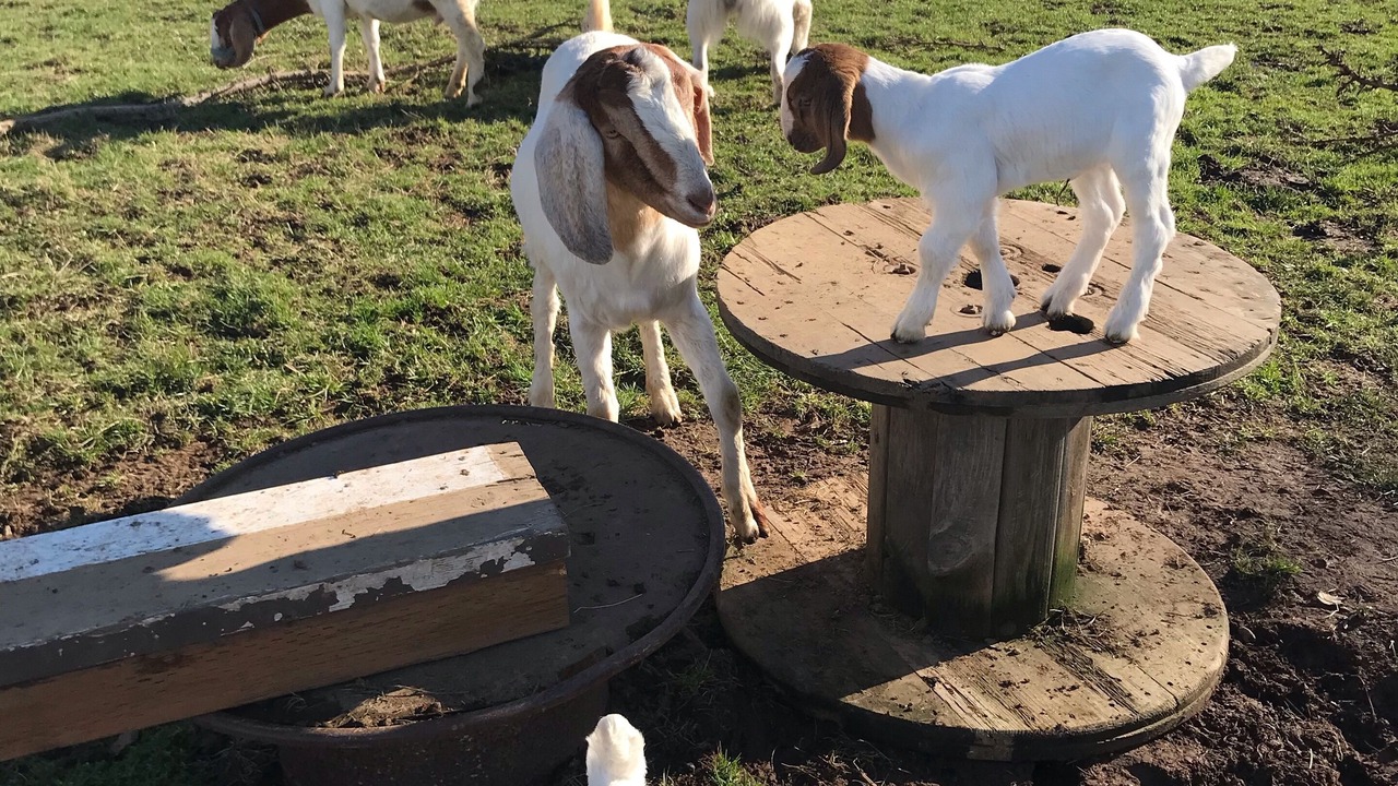 Photo of Others in Marietta-Alderwood