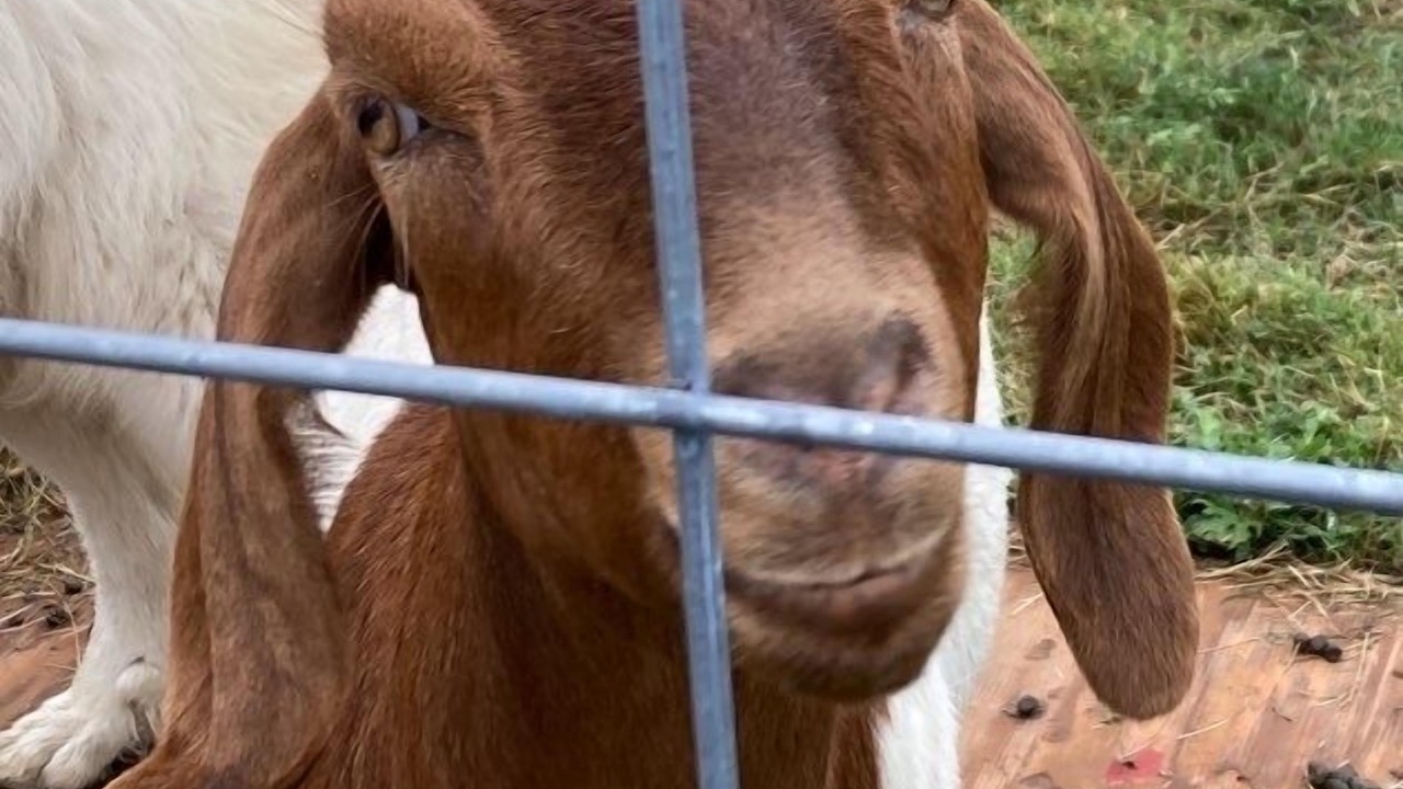 Photo of Others in Marietta-Alderwood