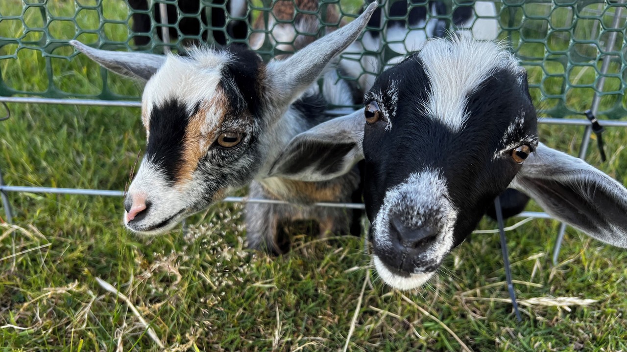 Photo of Others in Marietta-Alderwood