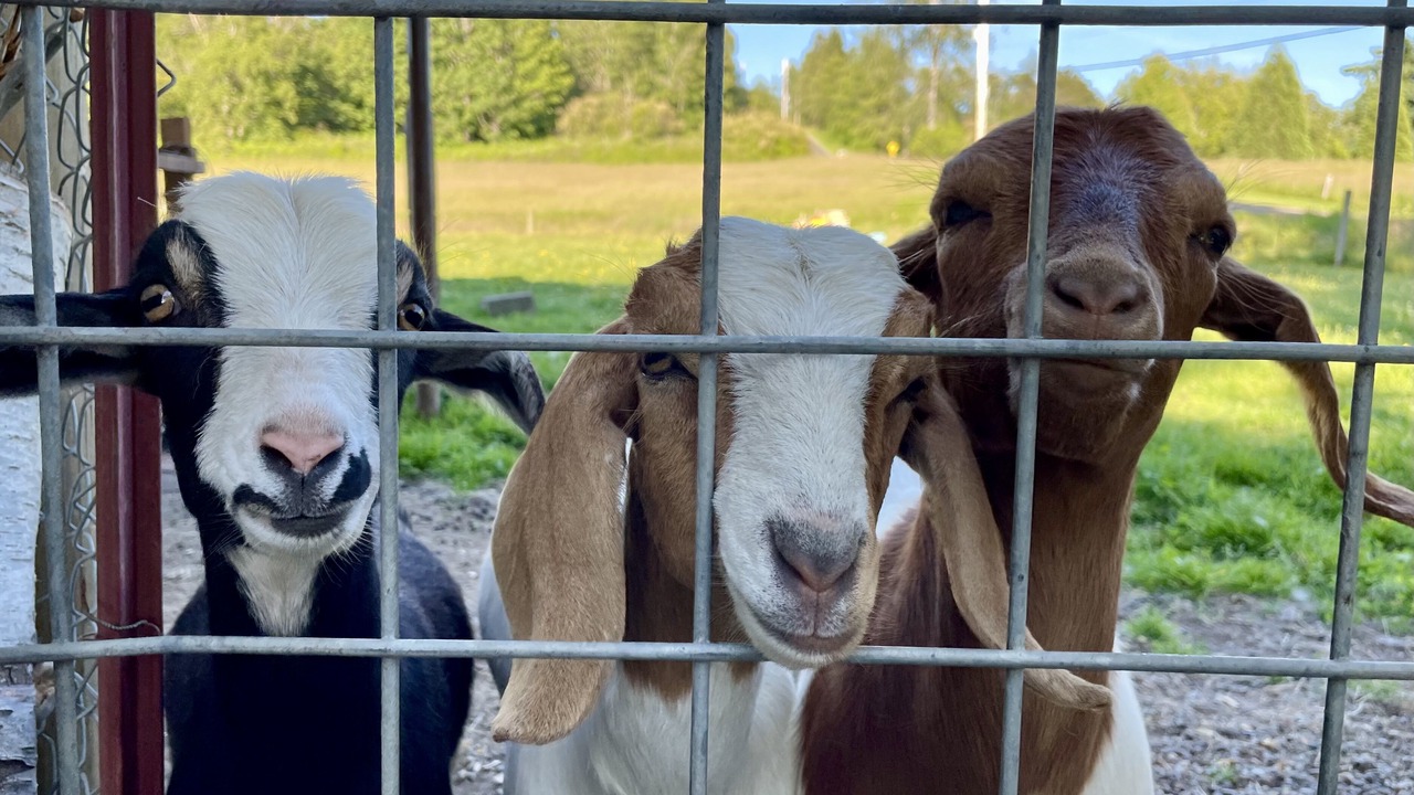 Photo of Others in Marietta-Alderwood