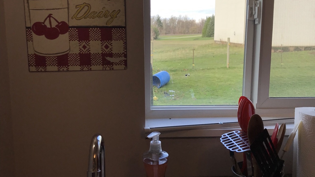 Photo of Others in Marietta-Alderwood