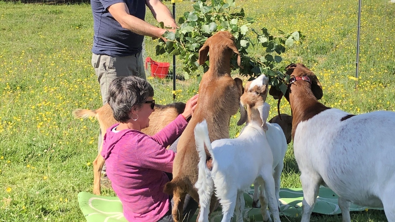 Photo of Others in Marietta-Alderwood