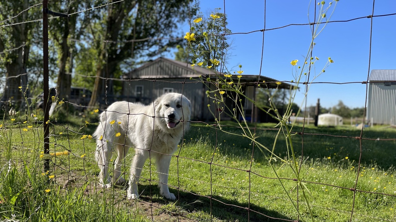 Photo of Outdoor in Marietta-Alderwood