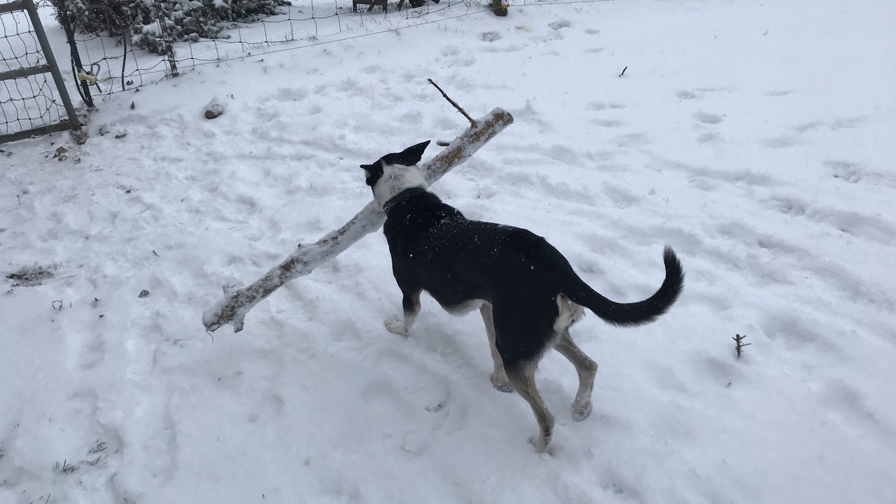 Photo of Others in Marietta-Alderwood