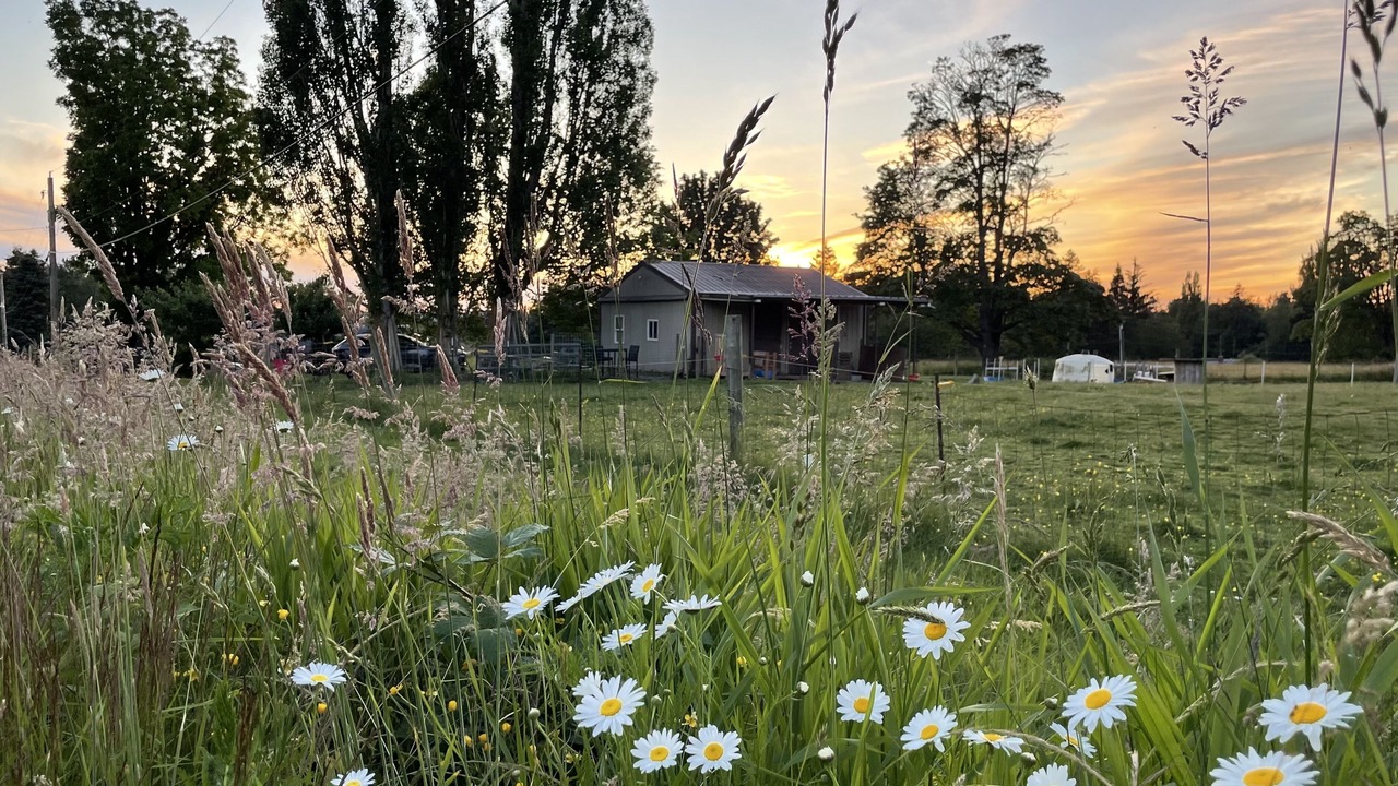 Photo of Outdoor in Marietta-Alderwood