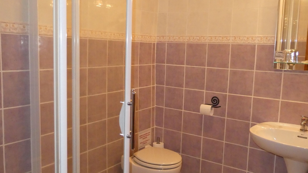 Photo of Bathroom in Rochepaule
