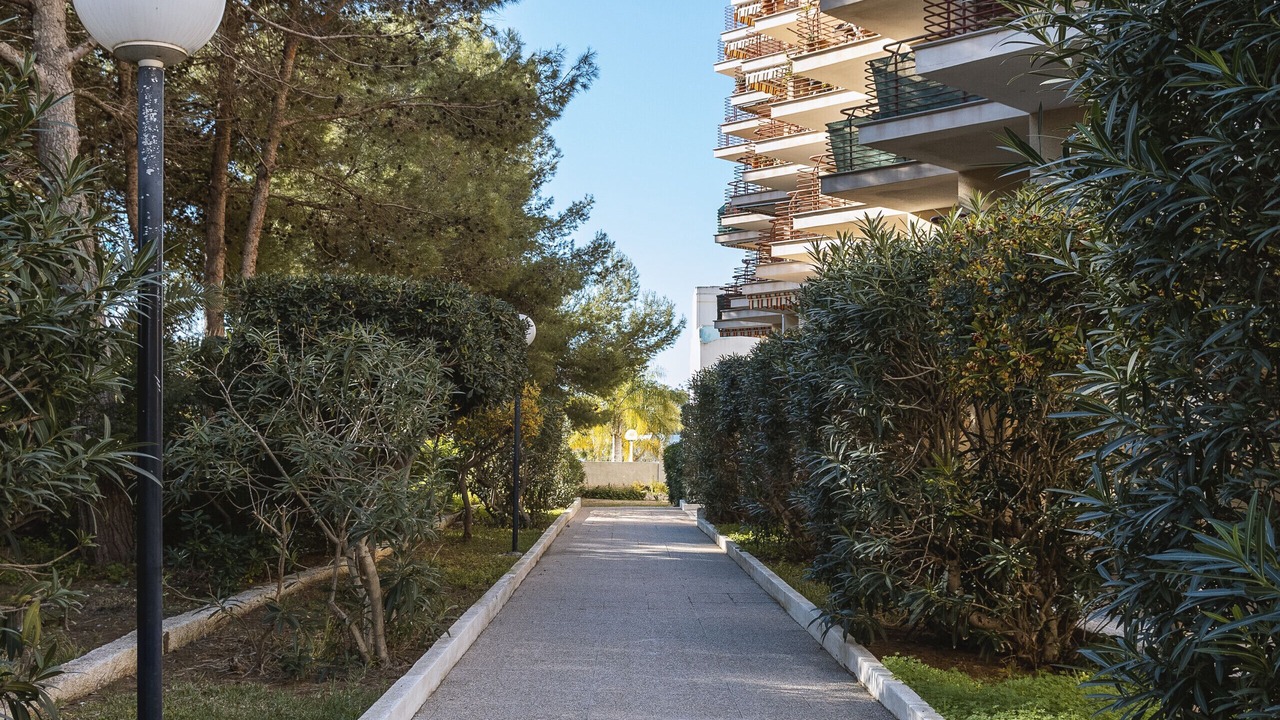 Photo of Outdoor in Javea