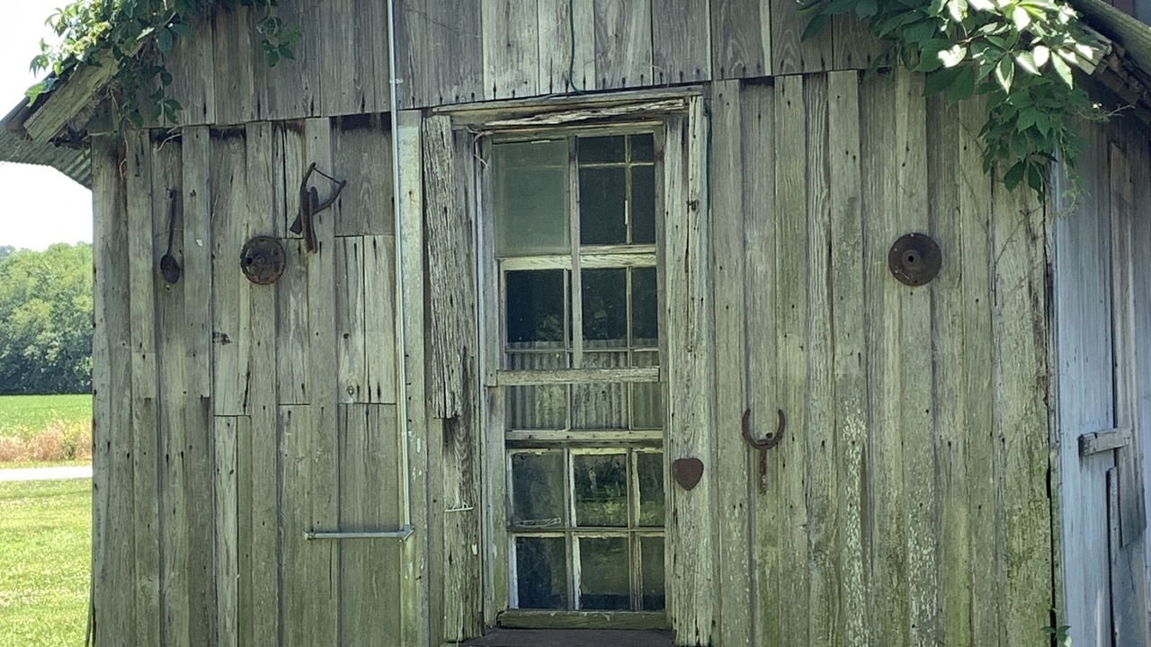 Photo of Outdoor in Lupus