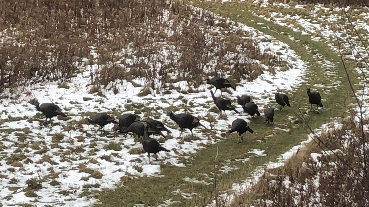 Photo of Outdoor in Andover