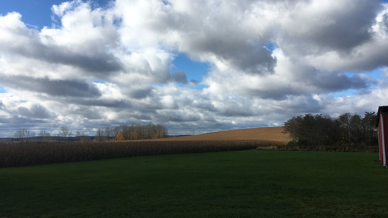 Photo of Others in Andover