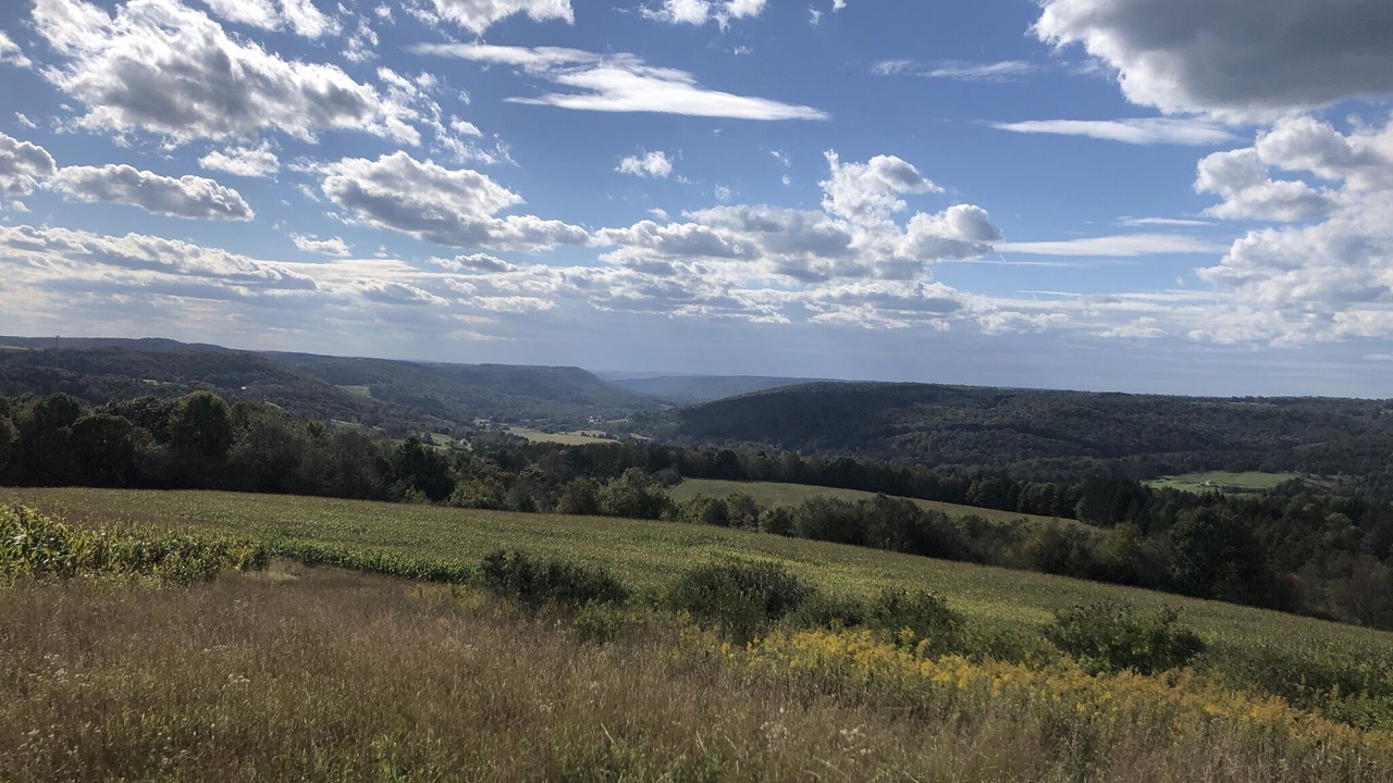 Photo of Outdoor in Andover