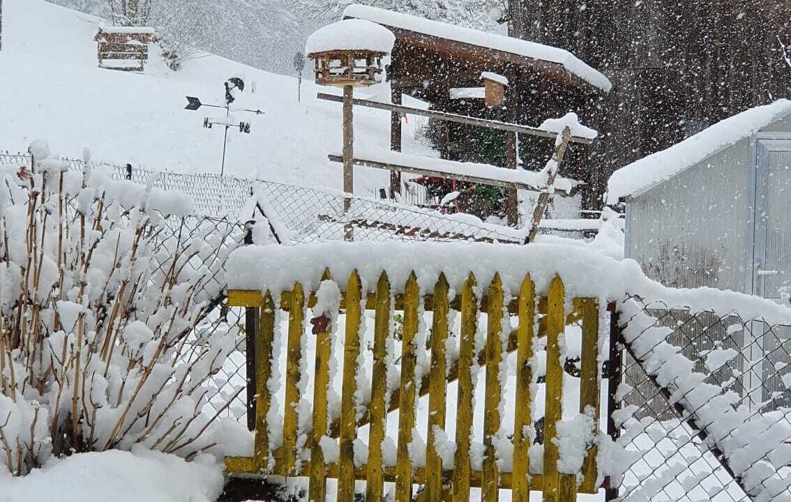 Photo of Outdoor in Diessbach