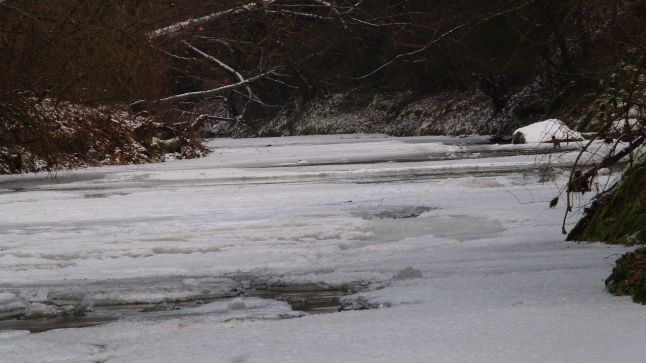 Photo of Outdoor in Diessbach