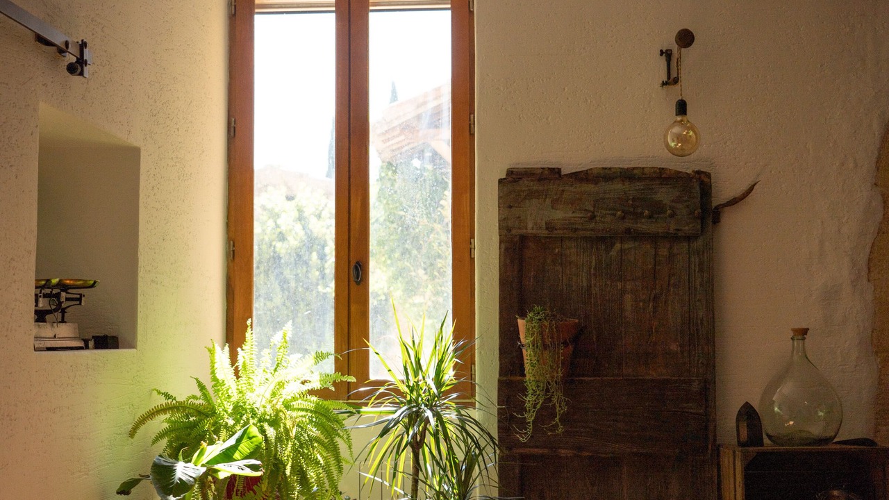 Photo of Others in Puyvert