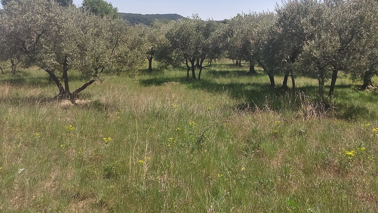 Photo of Outdoor in Puyvert