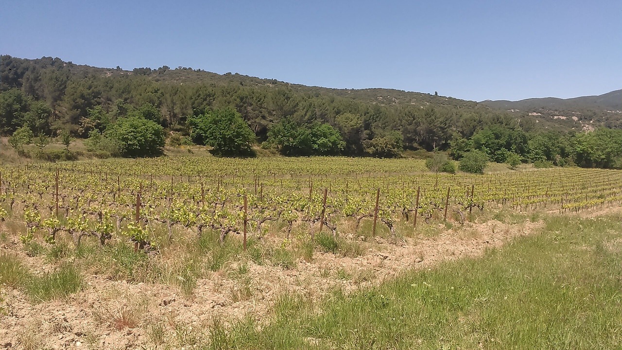 Photo of Outdoor in Puyvert