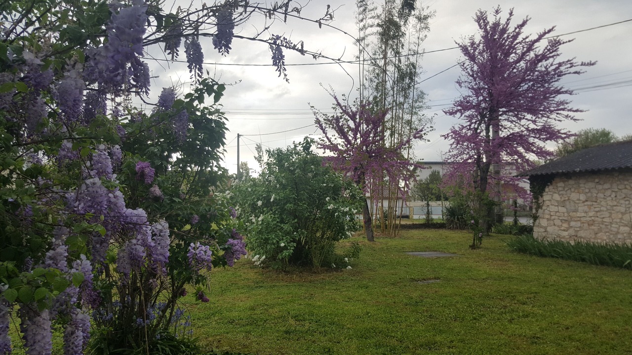 Photo of Outdoor in Quercy Caussadais
