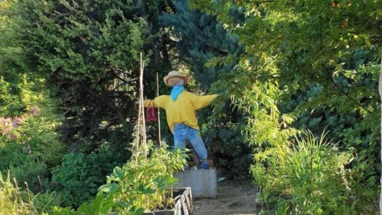 Photo of Outdoor in Tourrettes