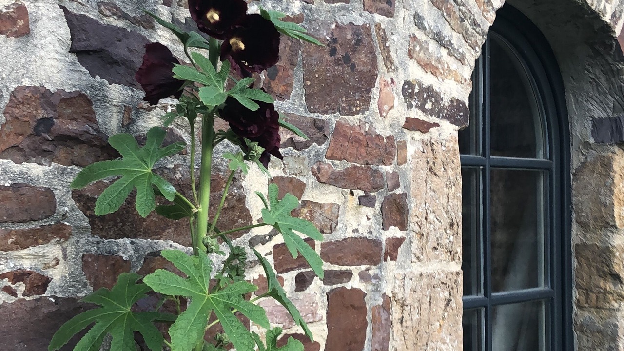 Photo of Outdoor in La Ferriere-Harang