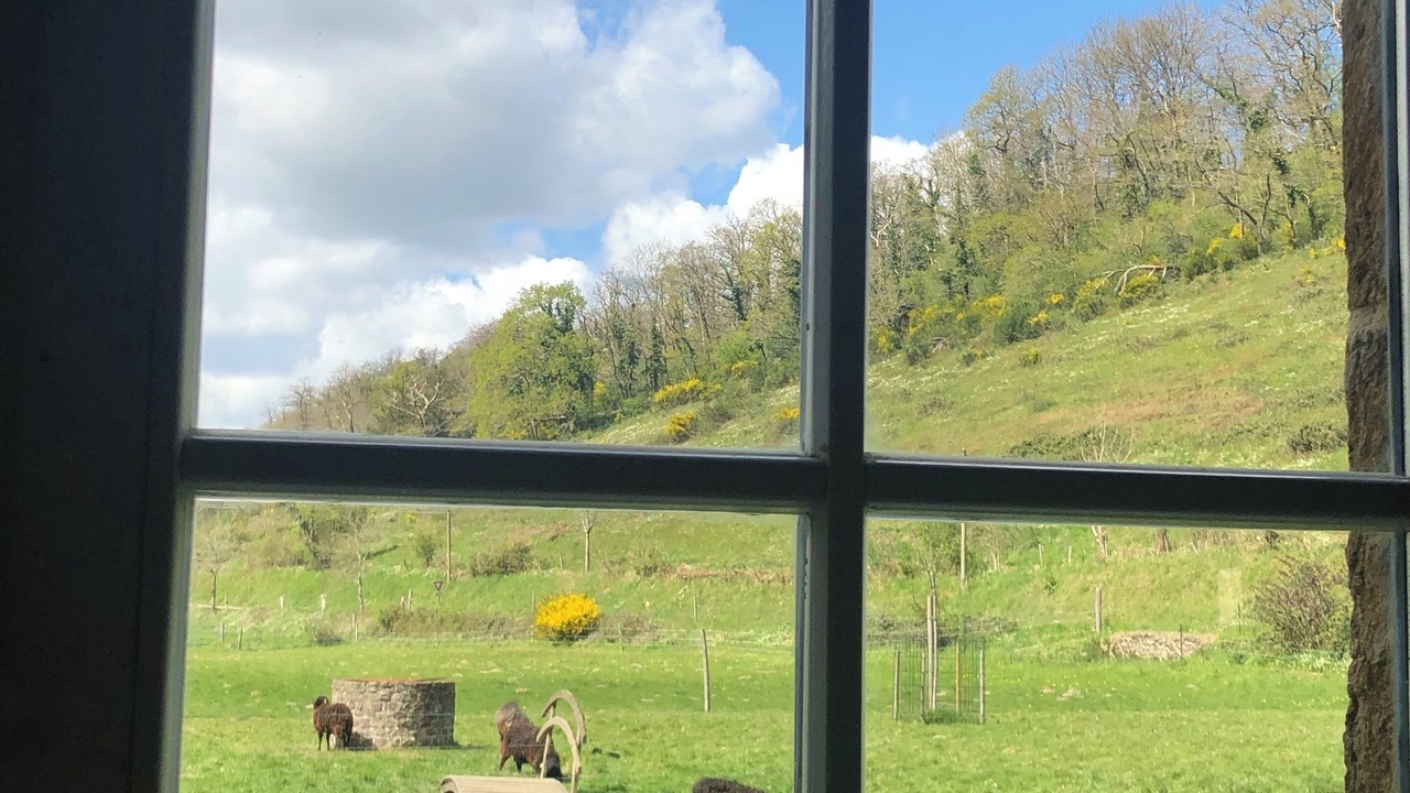 Photo of Others in La Ferriere-Harang