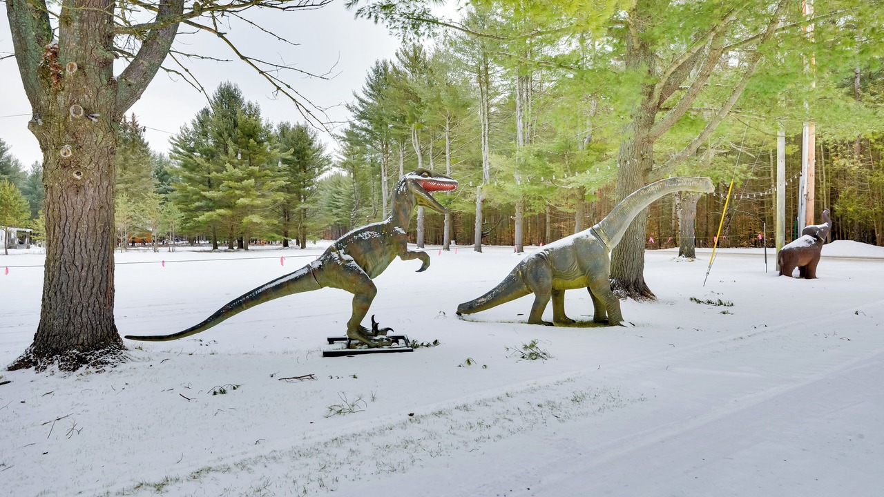 Photo of Others in Brantingham