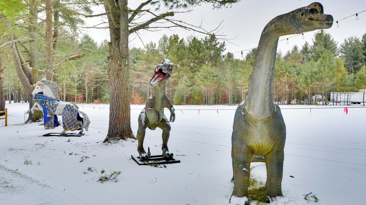 Photo of Others in Brantingham