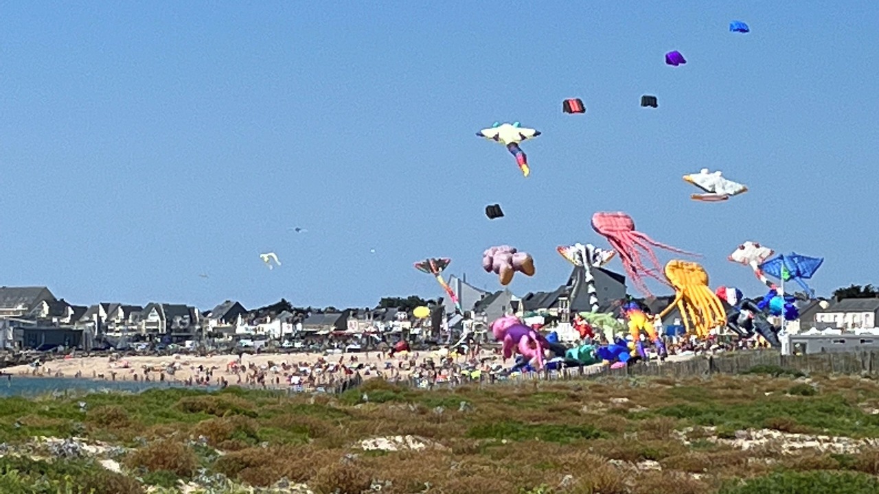 Photo of Others in La Turballe