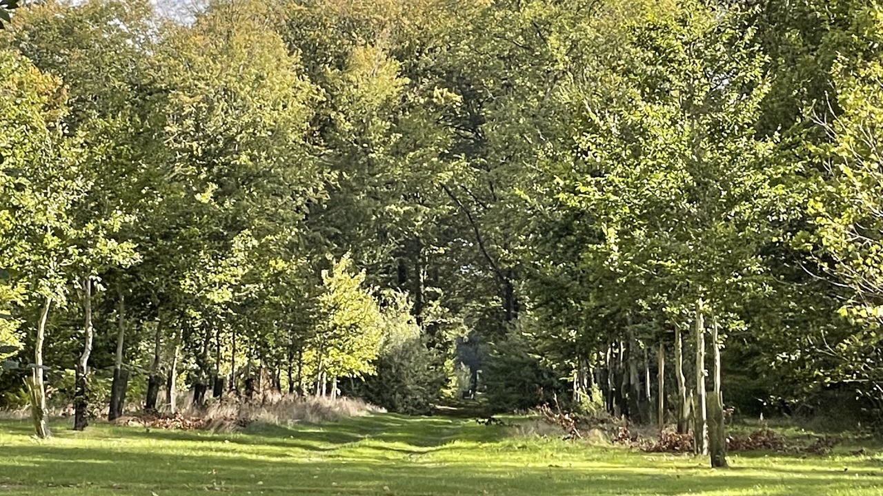 Photo of Others in Saint-Luperce