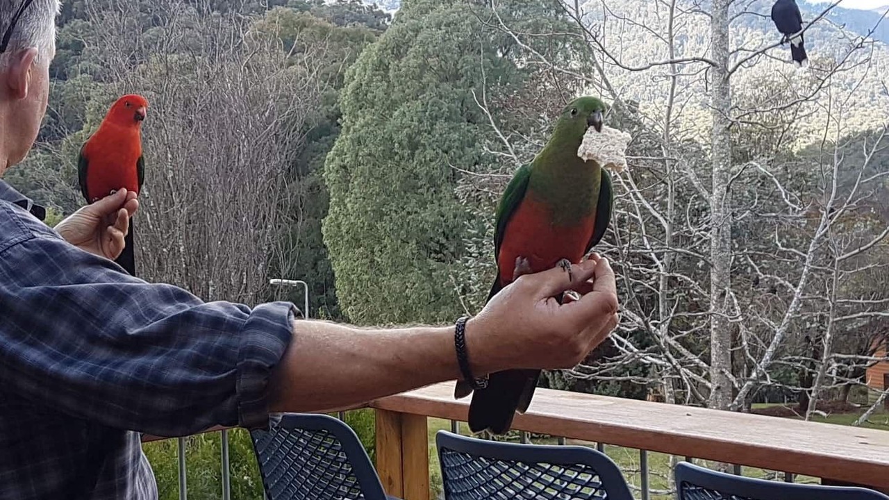 Photo of Outdoor in Merrijig