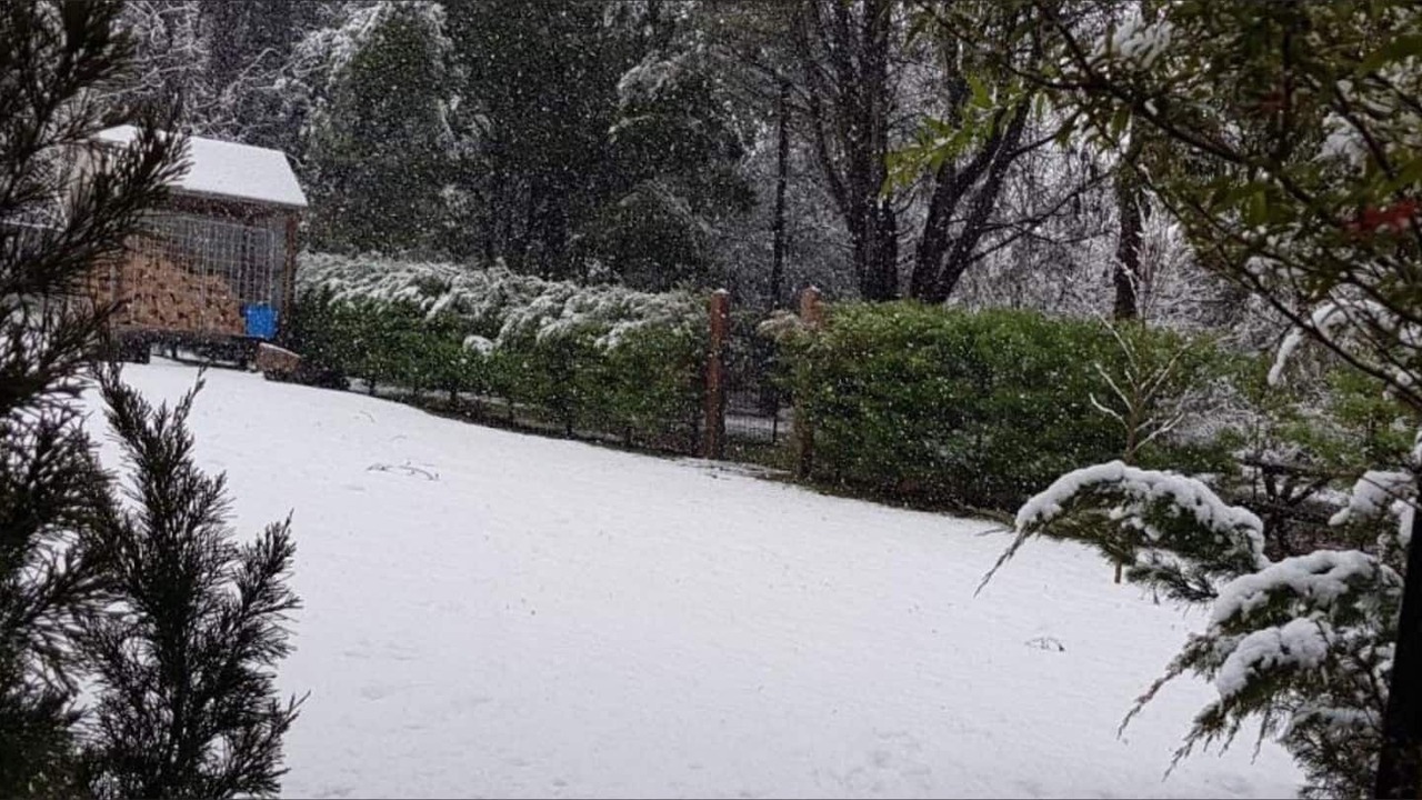 Photo of Outdoor in Merrijig