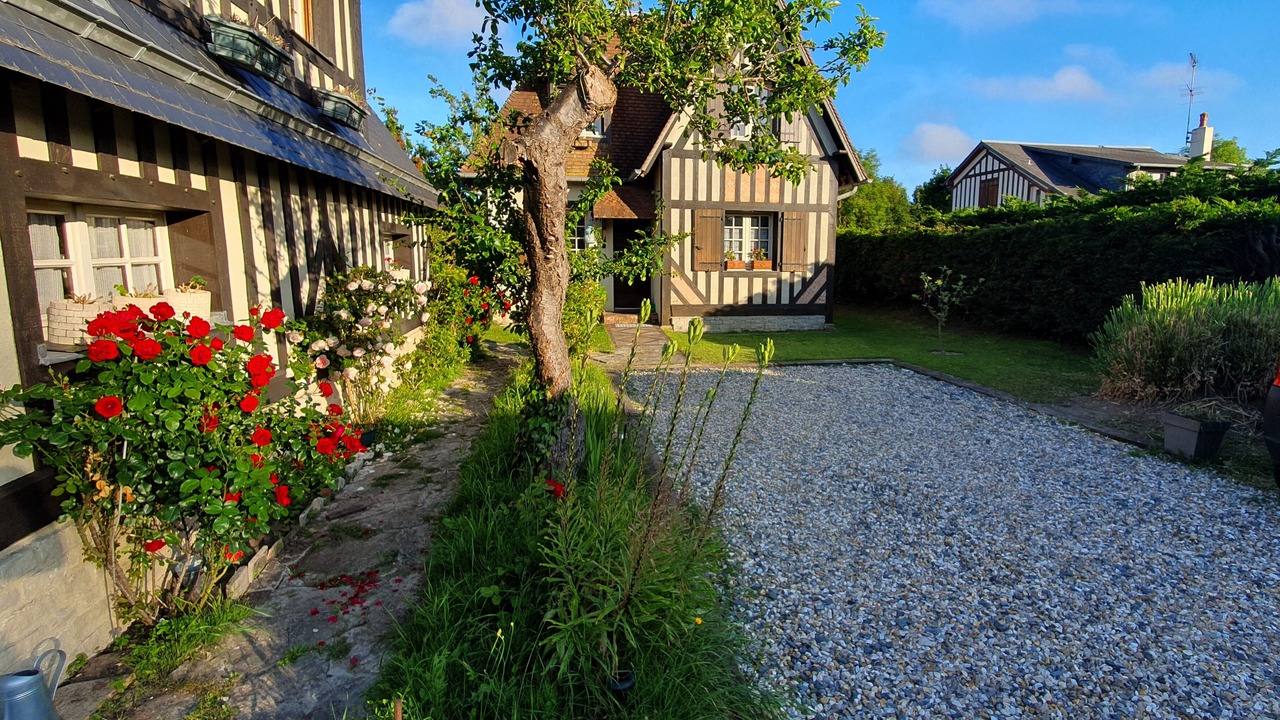 Photo of Outdoor in Tourgeville