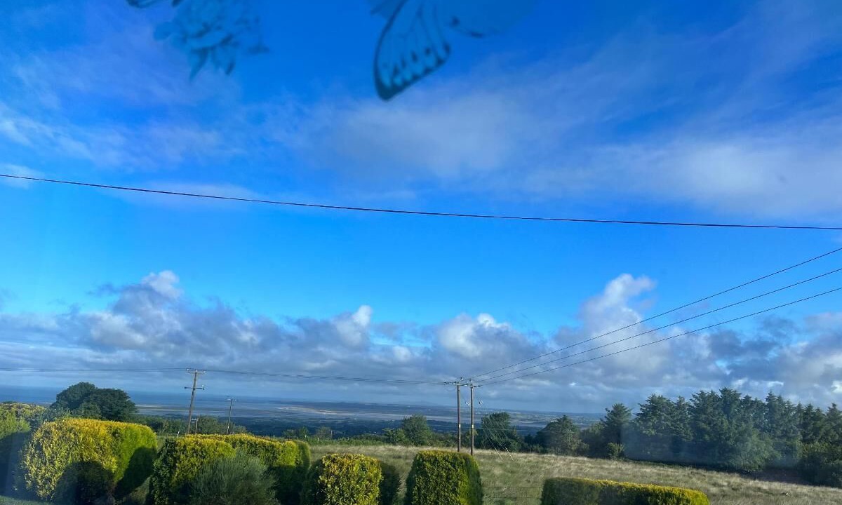 Photo of Others in Dinas