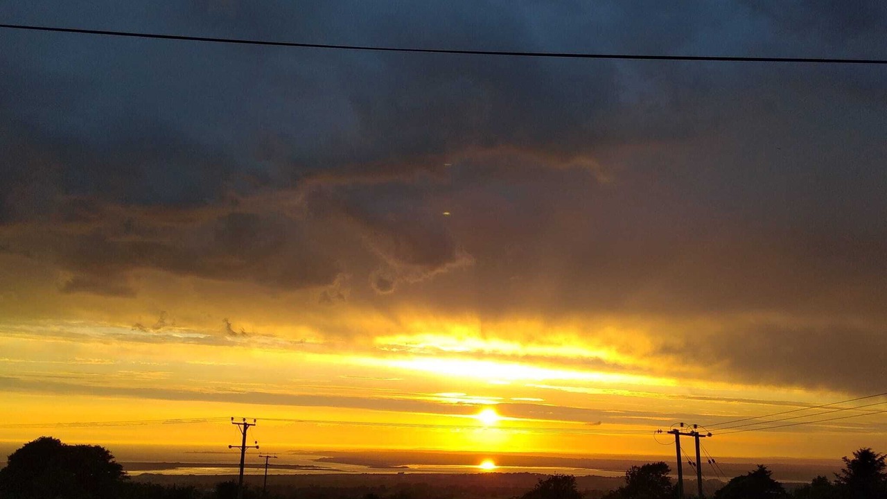 Photo of Others in Dinas