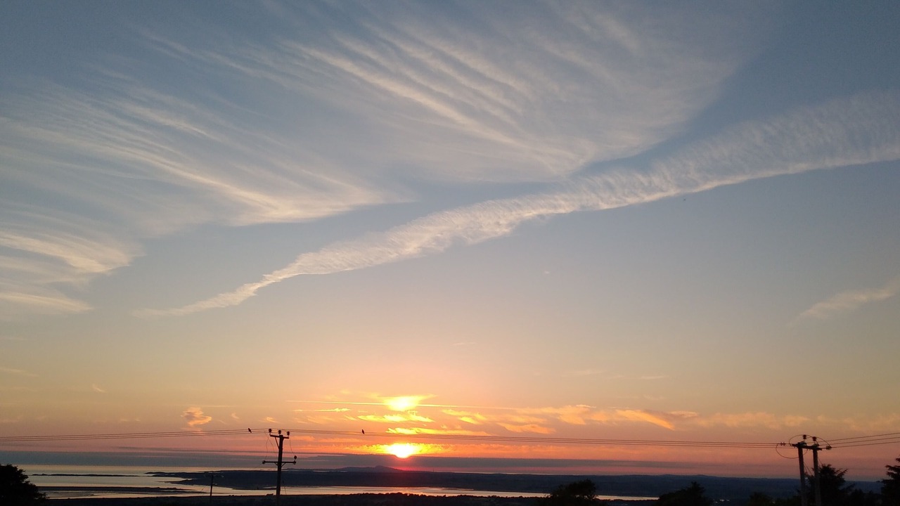 Photo of Others in Dinas