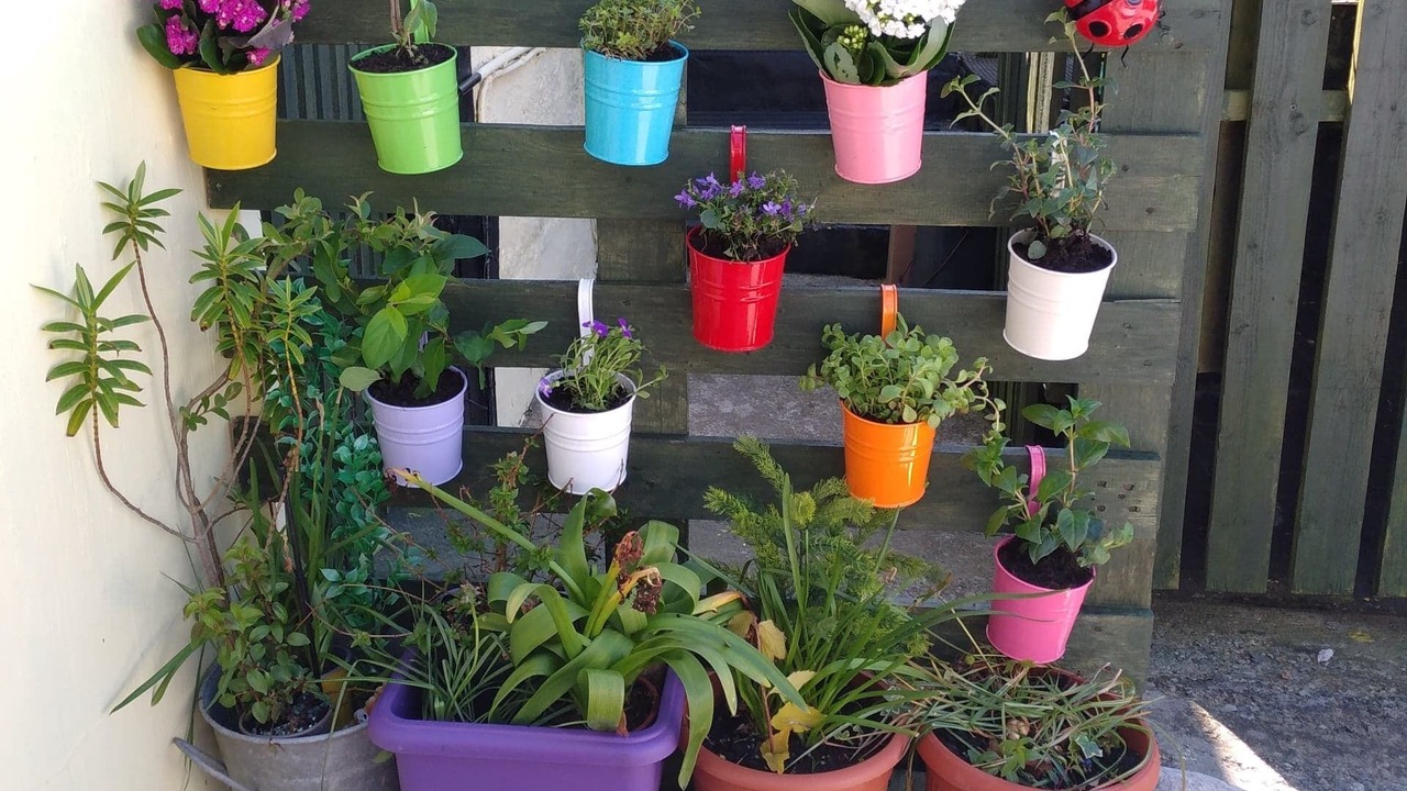 Photo of Outdoor in Dinas