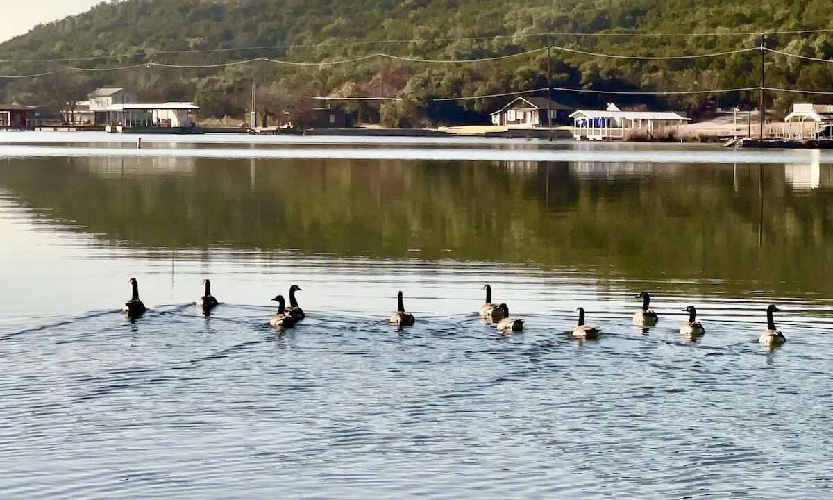 Photo of Others in Graham