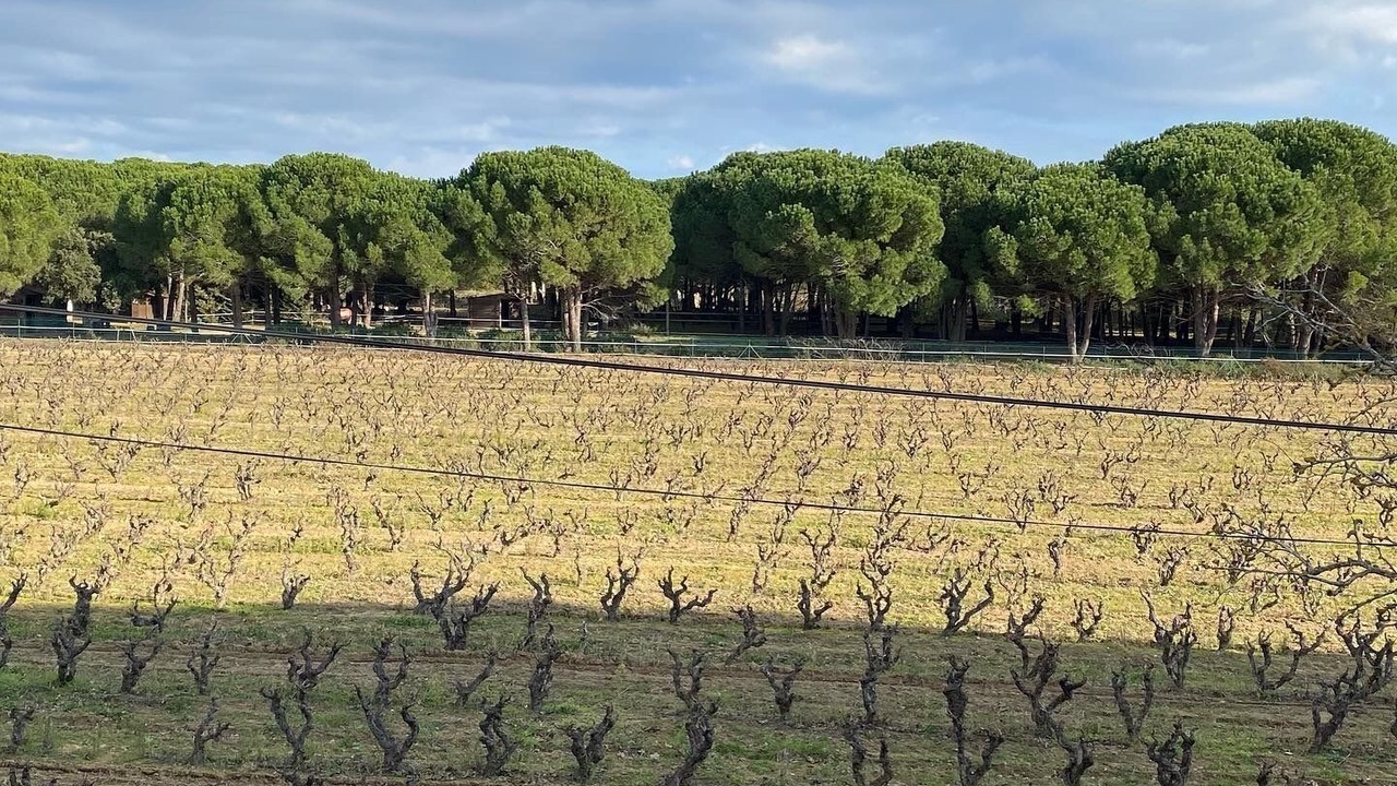 Photo of Outdoor in Ramatuelle