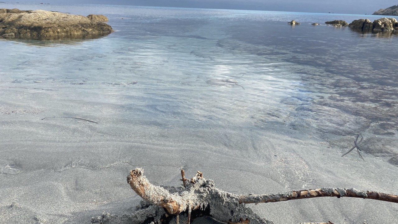 Photo of Others in Ramatuelle