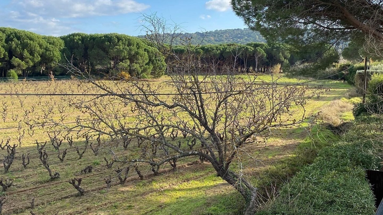 Photo of Outdoor in Ramatuelle