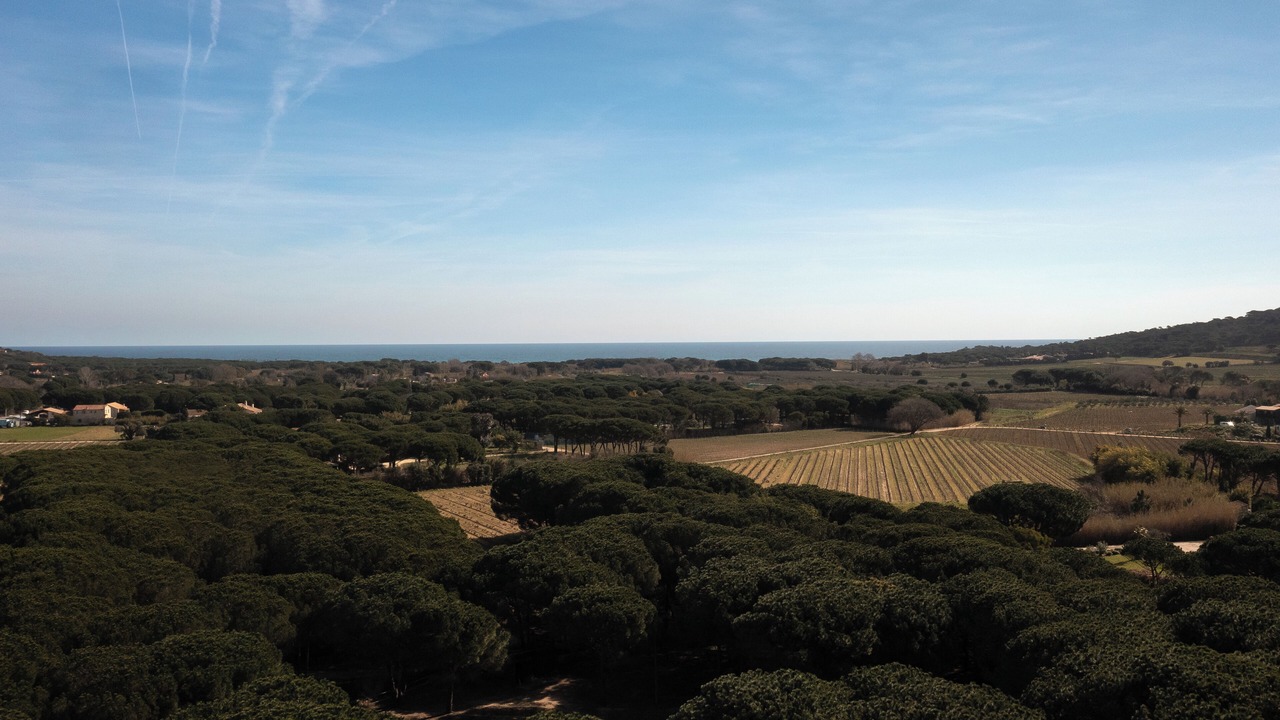 Photo of Others in Ramatuelle