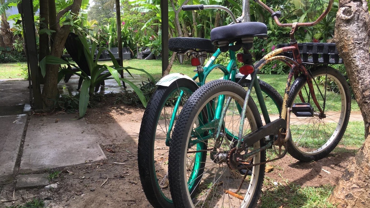 Photo of Outdoor in Waimanalo Beach