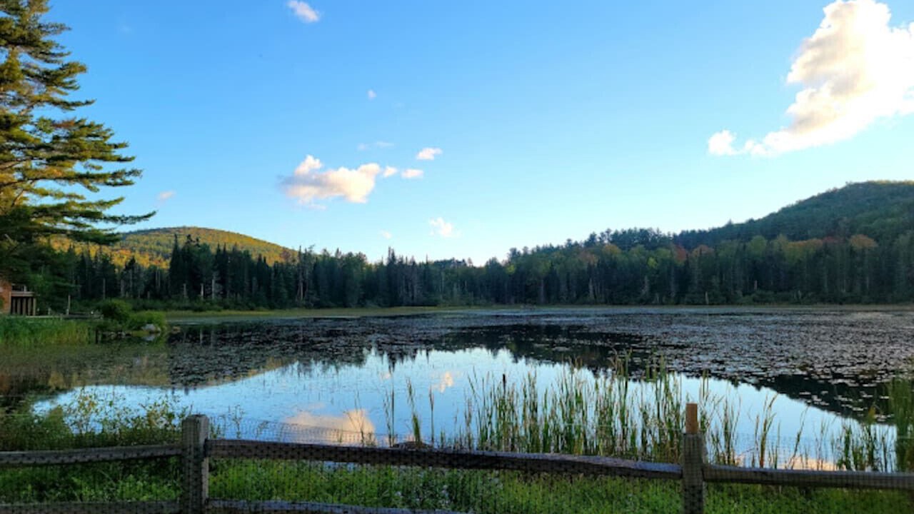 Photo of Others in Bethlehem