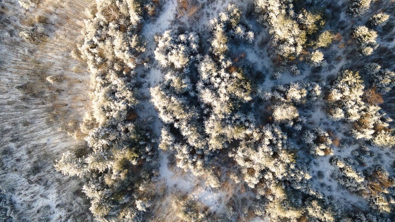 Photo of Outdoor in Bethlehem