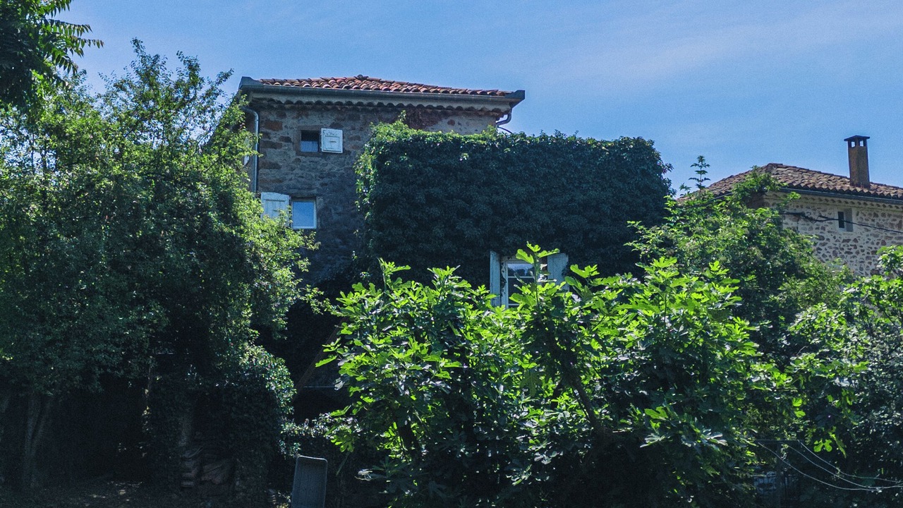 Photo of Outdoor in Saint-Jean-de-Valeriscle