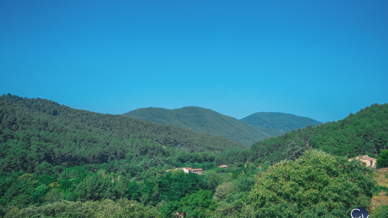 Photo of Outdoor in Saint-Jean-de-Valeriscle