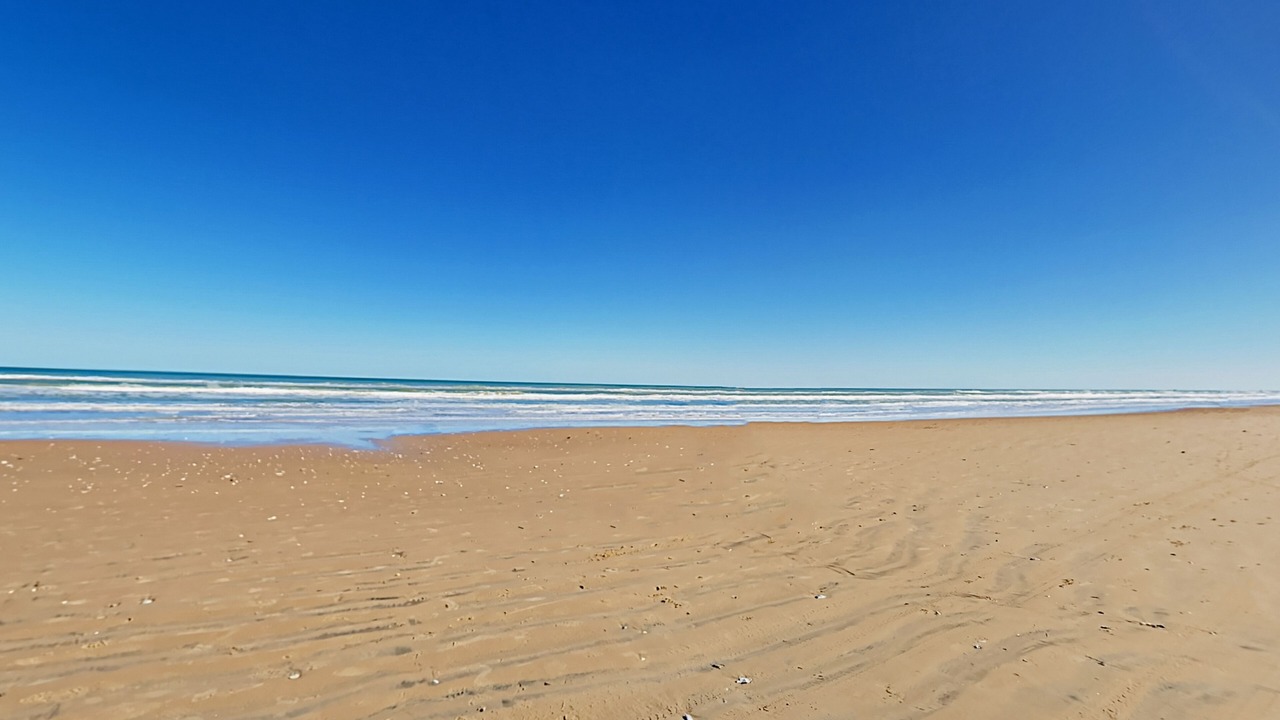 Photo of Others in South Padre Island