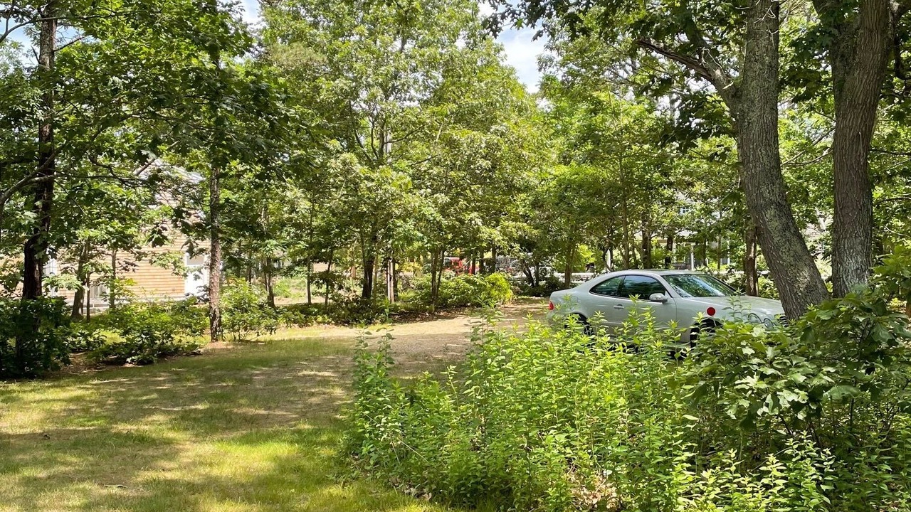 Photo of Outdoor in Katama