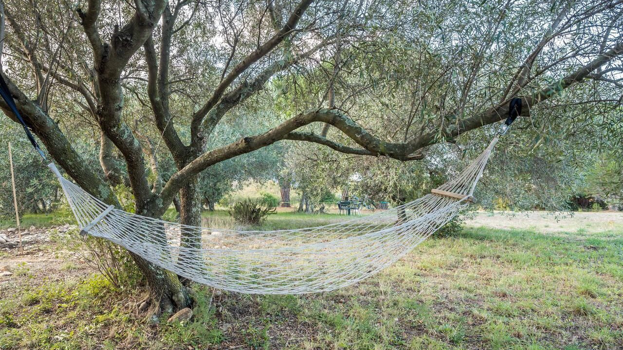 Photo of Outdoor in Argeles-sur-Mer