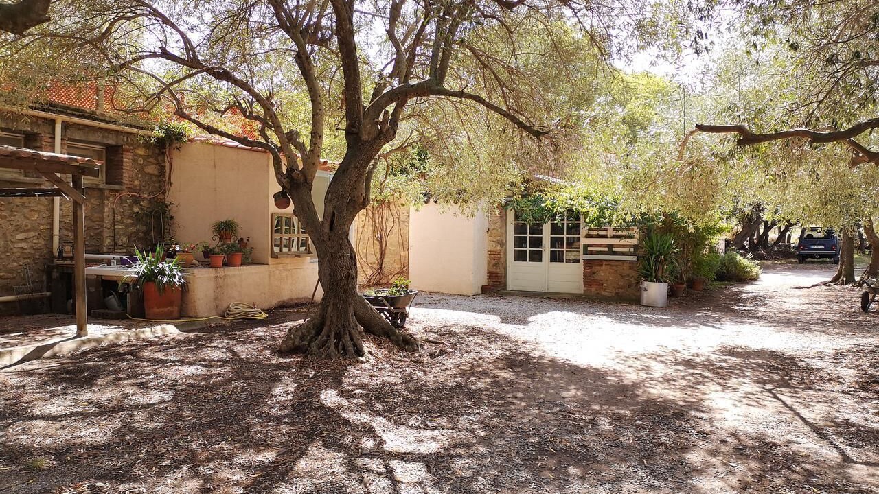 Photo of Outdoor in Argeles-sur-Mer