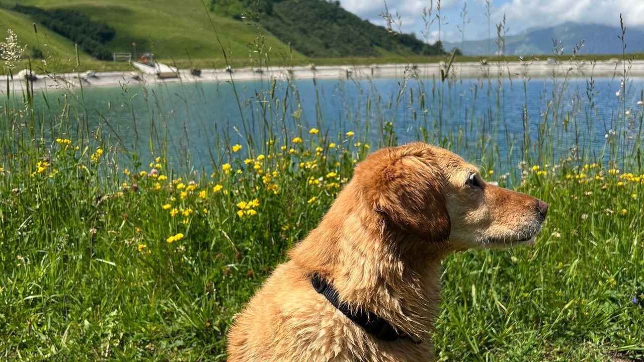 Photo of Outdoor in Adelboden